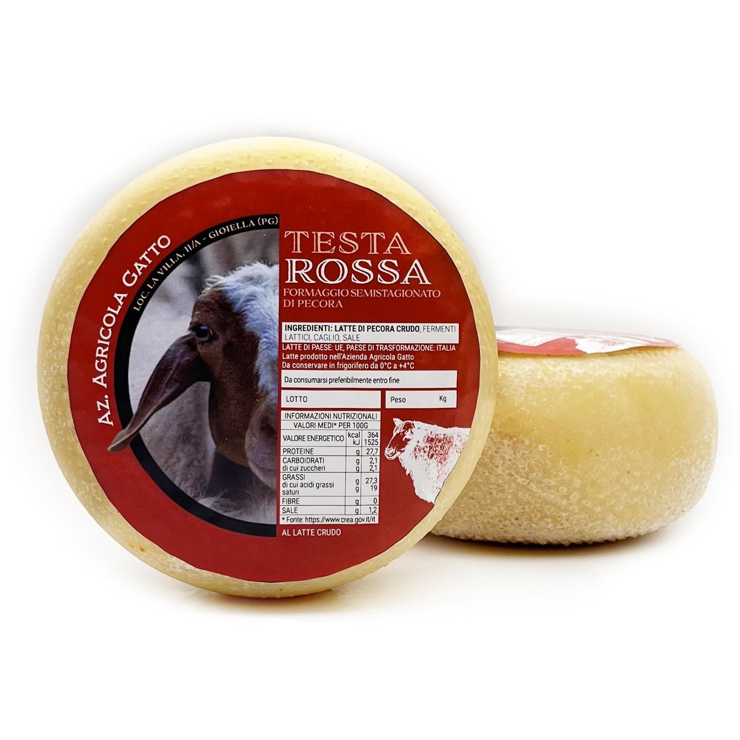 Formaggio Pecorino Semistagionato